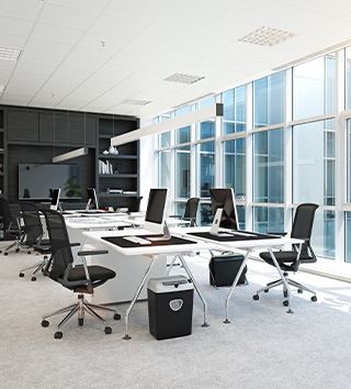 Commercial Pest Control